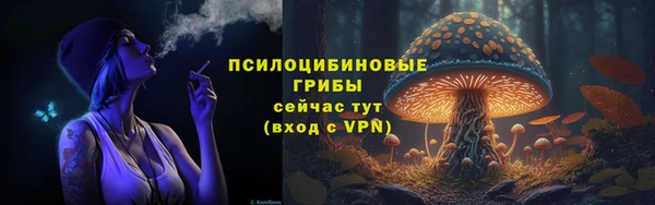 гидра Ладушкин
